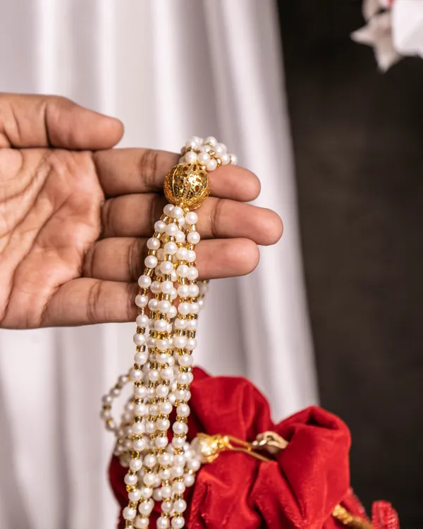 Scarlet_Royale_Sequin_Potli